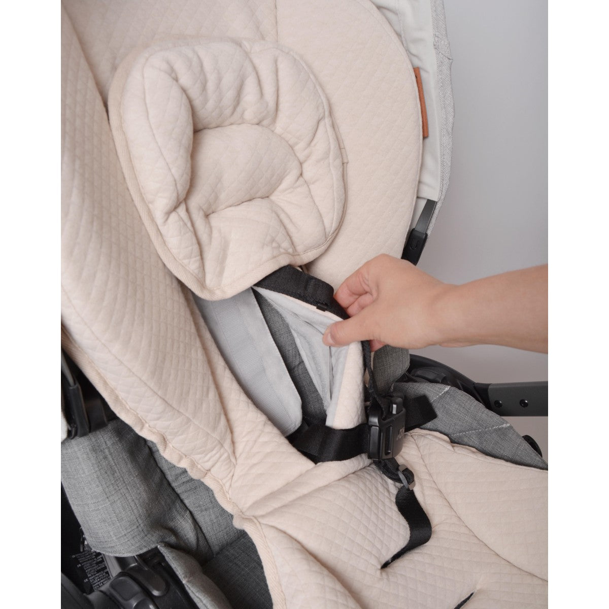 Easygrow Minimizer sittepute | NY 2024