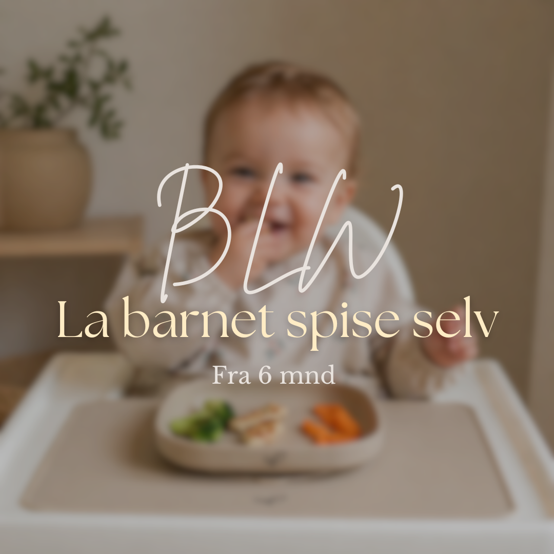 BLW (fra 6 mnd) 🌿