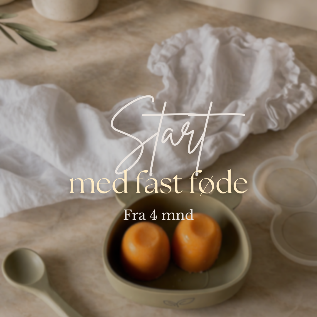 Start med fast føde (fra 4 mnd) 🌿