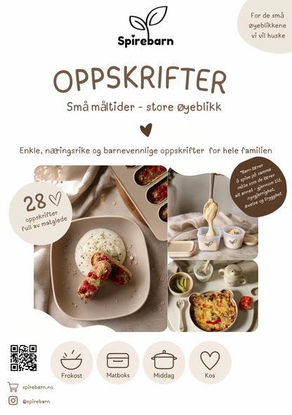 Oppskriftshefte for barn & baby - Babymat og BLW